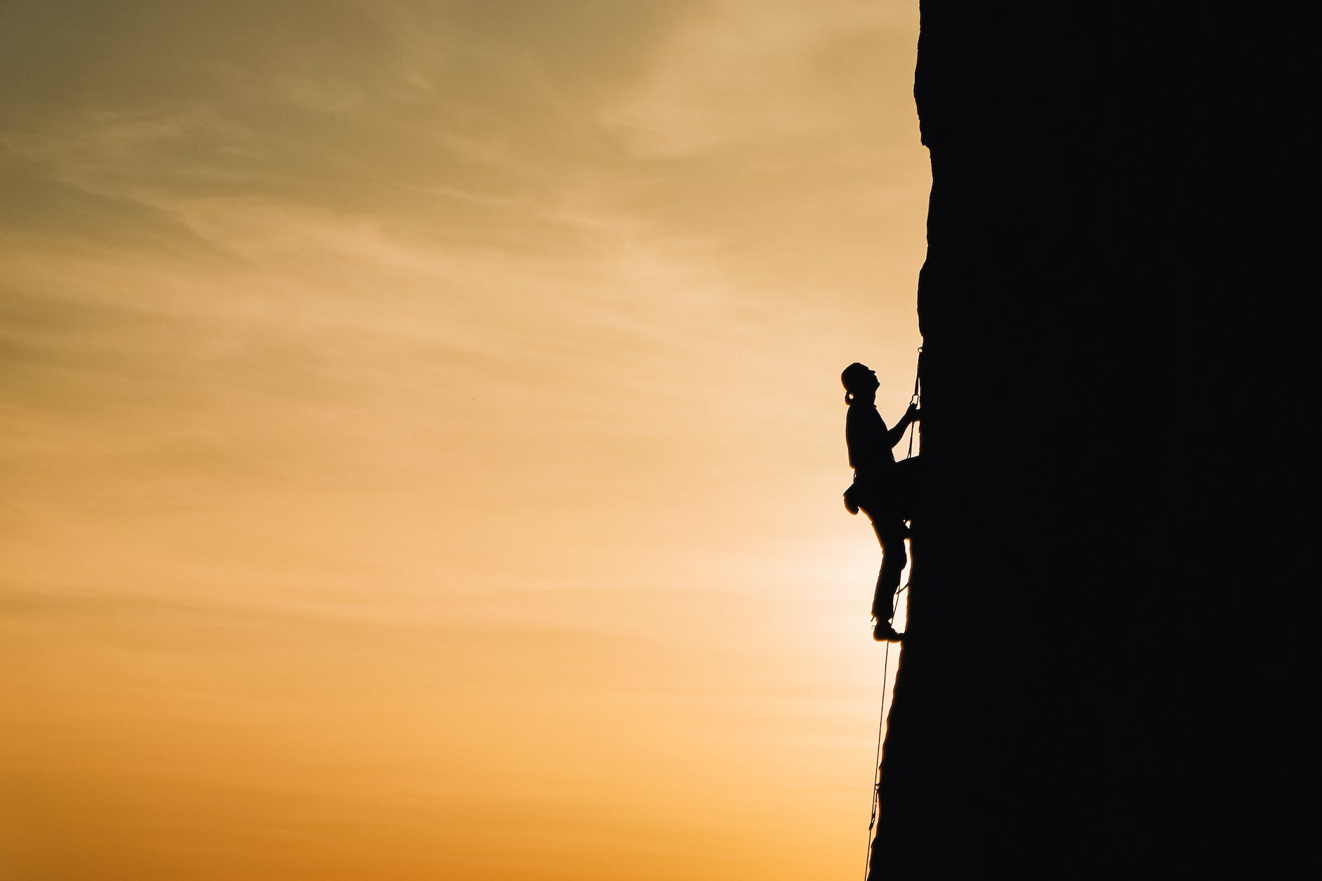 Self-Determination Theory (SDT)